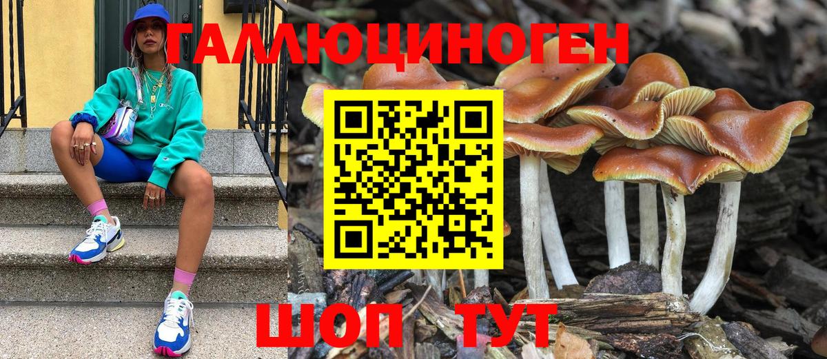 Галлюциногенные грибы MAGIC MUSHROOMS Барнаул
