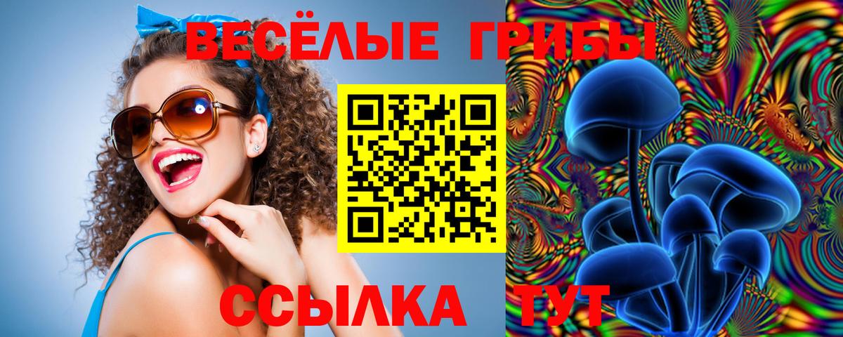 Барнаул  Псилоцибиновые грибы GOLDEN TEACHER  Вход с VPN 